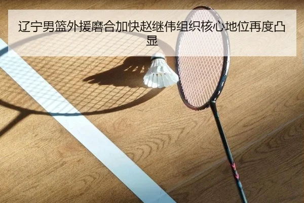辽宁男篮外援磨合加快赵继伟组织核心地位再度凸显